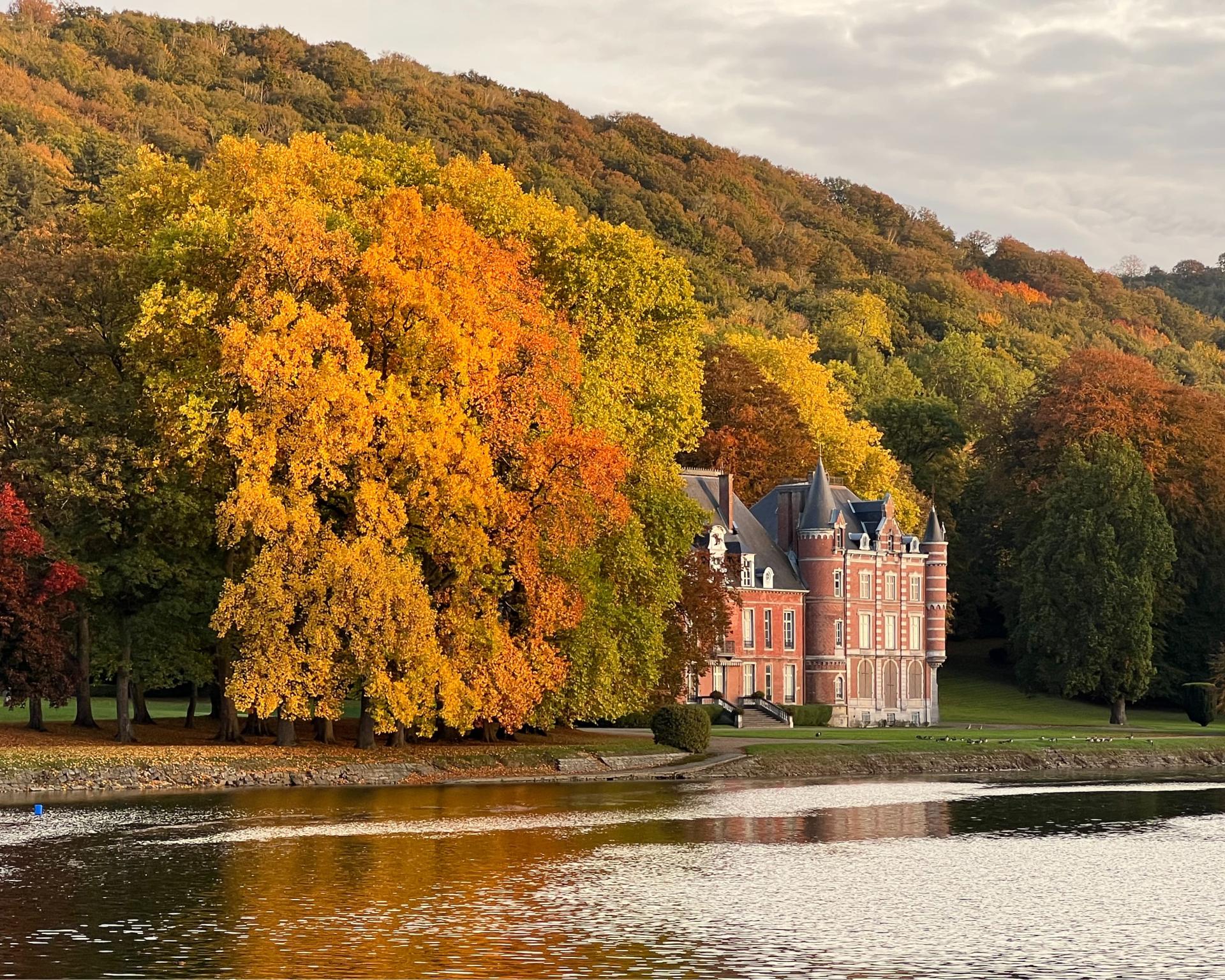 H la meuse romantique gite sur un bateau chateau 1