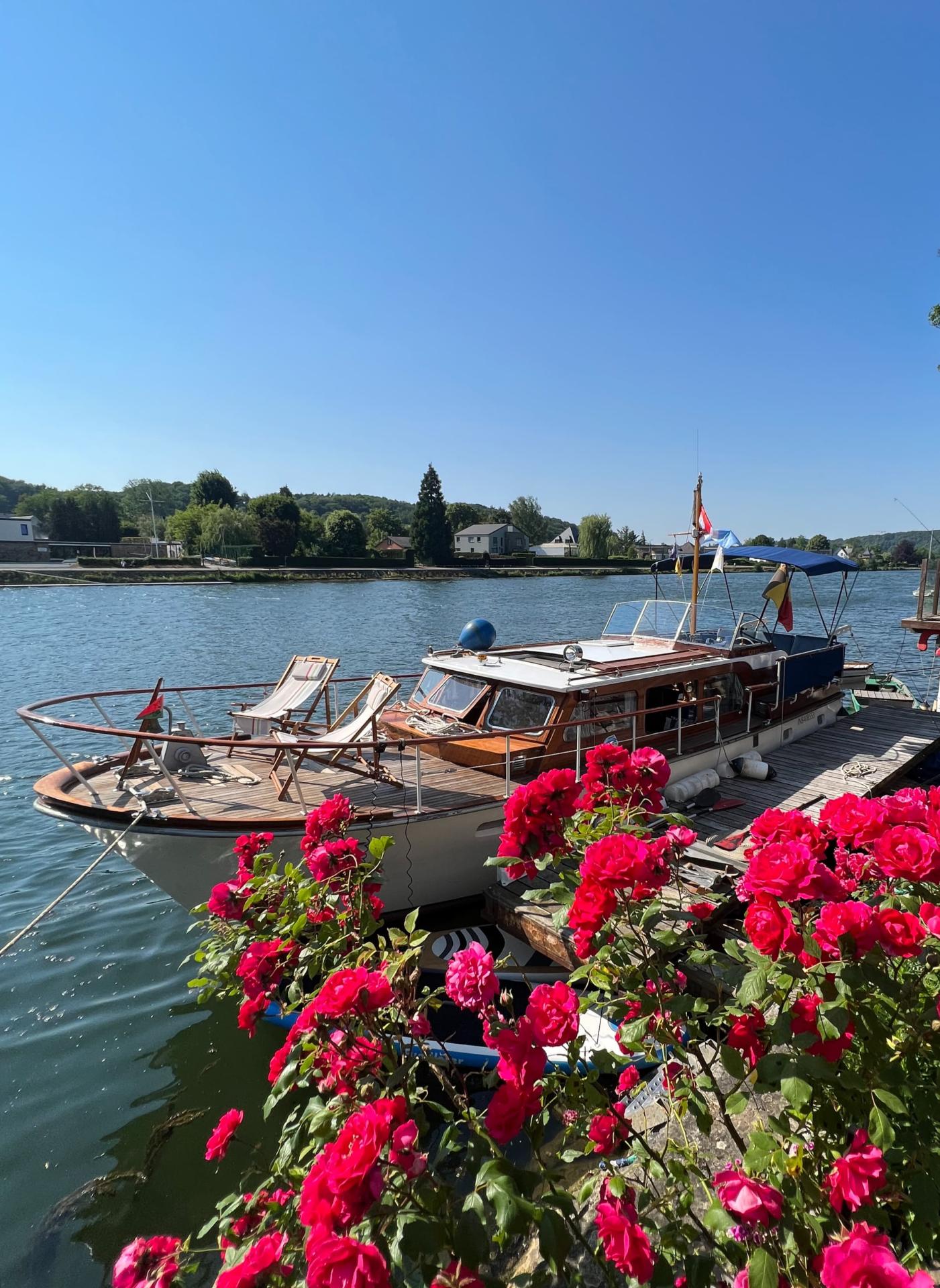 V la meuse romantique gite sur un bateau foros fleurs vertical