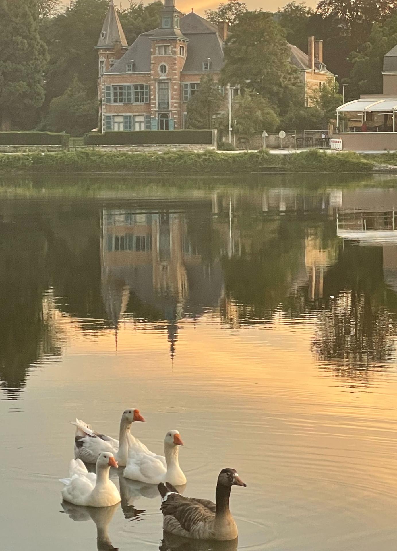 V la meuse romantique gite sur un bateau oies